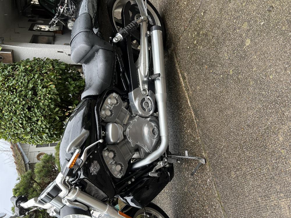 Motorrad verkaufen Harley-Davidson V-Rod Muscle Ankauf